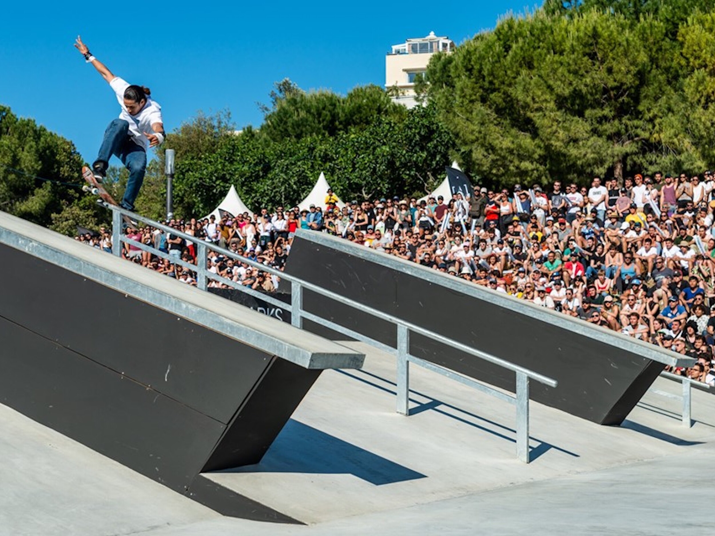 skatepark le fise 2019